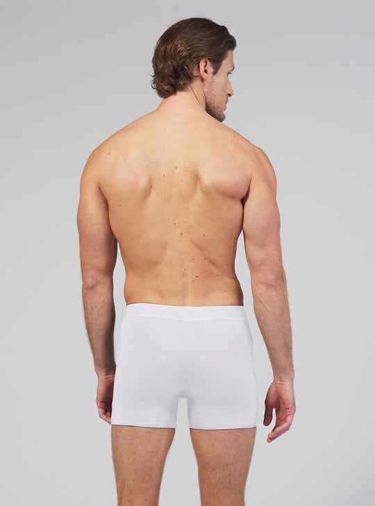 Allwear Bamboo Boxer Brief 3 Pack Bundle